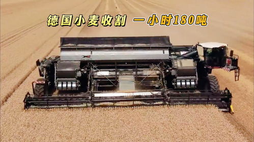 德國(guó)研發(fā)新型收割機(jī),搭載15.5米寬割臺(tái),一小時(shí)收割小麥180噸
