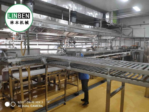 央廚設(shè)備 學生餐整套生產(chǎn)線