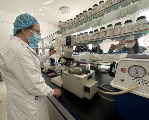 寧夏化妝品風靡俄羅斯市場，新型汽輪機研發與銷售齊頭并進